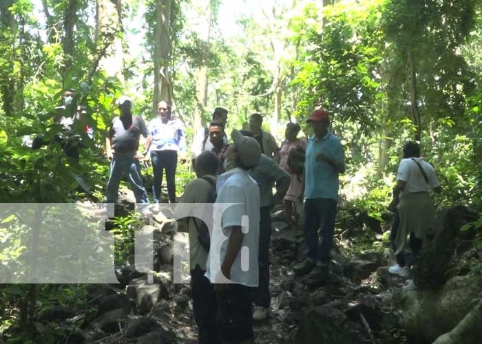 Liberan especies juveniles en peligro de extinción en la Isla de Ometepe