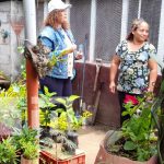Premian a los jardines más bonitos de Managua