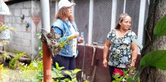 Premian a los jardines más bonitos de Managua