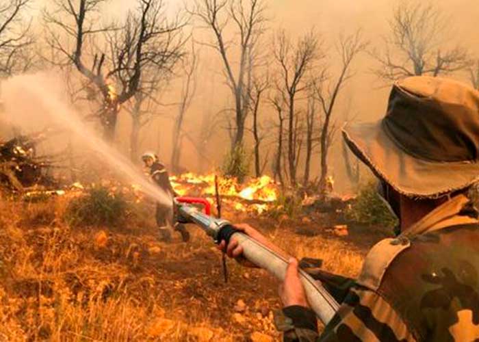 Voraces llamas de incendio acaban con la vida de 26 personas en Argelia