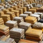 ¡Clase plátano! de cocaína incautan en Ecuador con destino a Europa