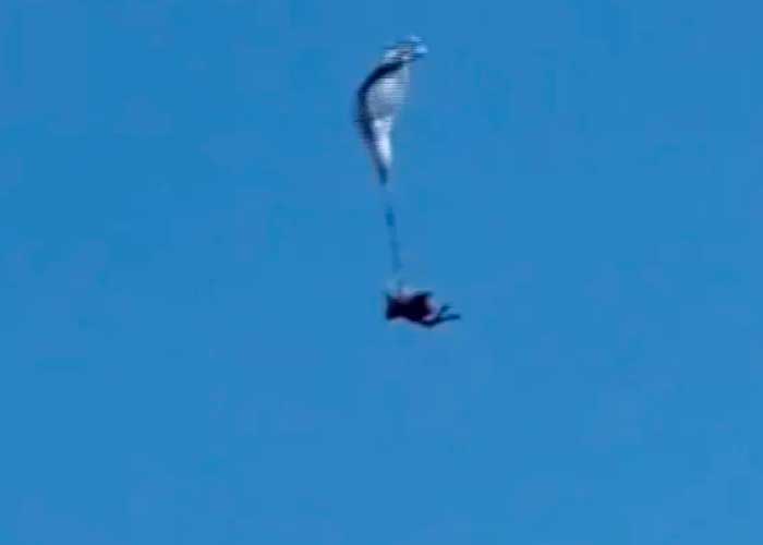 Vivo de milagro paracaidista tras un error en pleno vuelo en España