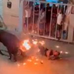 Furioso toro mata a hombre tras "cogerlo por los cuernos" en España