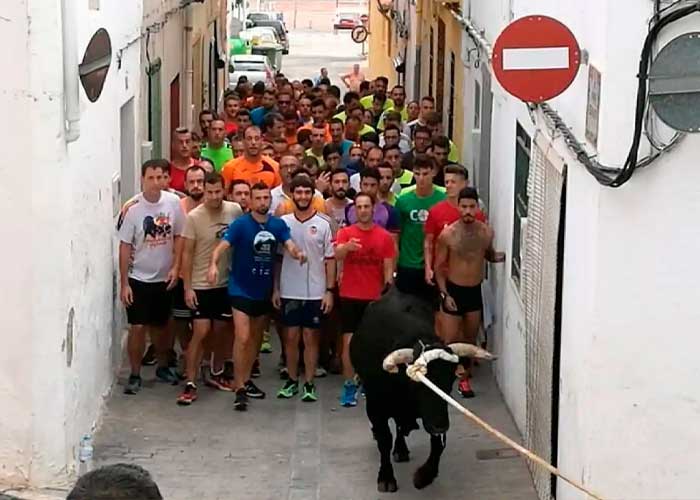 Furioso toro mata a hombre tras "meterle los cuernos" en España