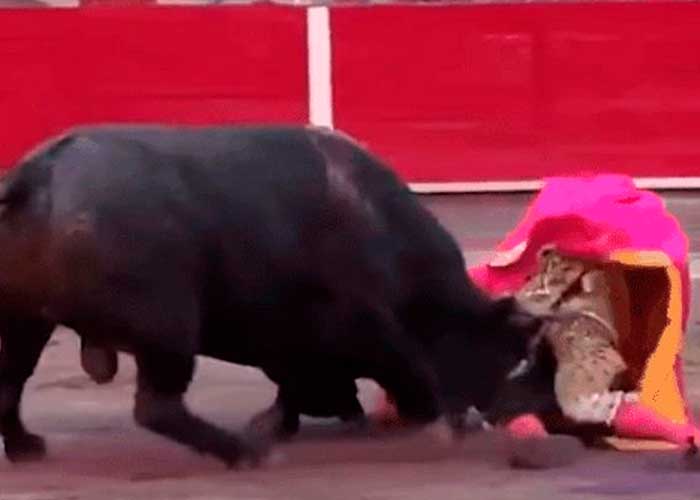 ¡Le penetró el alma! Toro entierra cuerno a un hombre en España (VIDEO)