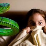 Soñar con serpientes no es algo realmente malo