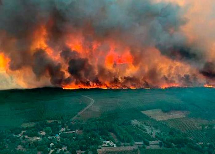 Incendios forestales arrasan con Francia debilitada por la sequía