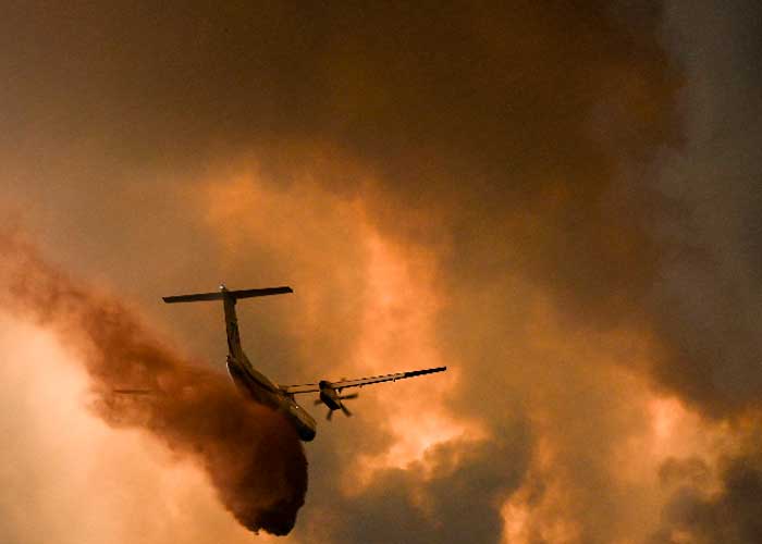 Incendios forestales arrasan con Francia debilitada por la sequía 
