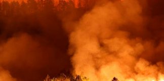 ¡Agonizantes días para la tierra! mortales incendios devastan España