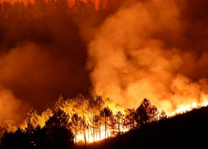 ¡Agonizantes días para la tierra! mortales incendios devastan España