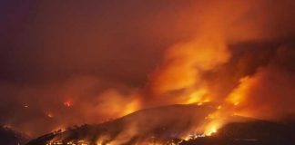 Fuertes incendios forestales azotan a España