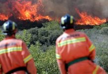 Fuertes incendios forestales al este de España