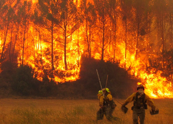 ¡Agonizantes días para la tierra! mortales incendios devastan España