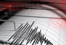 ¡Clase sacudida! Registran terremoto con magnitud de 5.2 al noreste de Japón
