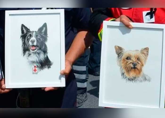 10 años de cárcel por matar a dos perros rescatista en México ¡Justicia!