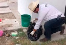 ¿Del inframundo? Capturan a hombre por querer "hartarse" un perro en México