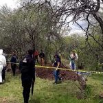 Macabro hallazgo de 11 cadáveres en huerta de aguacates en México