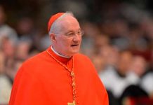 Inaudito: Papa Francisco no investigará a cardenal acusado de abuso sexual