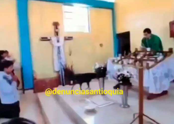 ¡Indignante! Sacerdote patea a perrito en plena misa en Perú (Video)