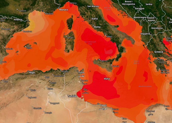 España reporta temperaturas jamás antes vistas en el mar Mediterráneo
