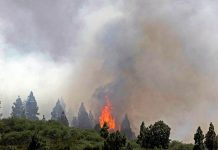 Alrededor de 700 personas evacuadas tras incendio forestal en España