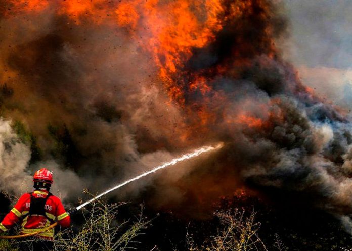 Más de 700 mil hectáreas quemadas dejan incendios en países de la Union Europea