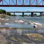 Se seca el Río Bravo, la odisea de los migrantes en el "sueño americano"