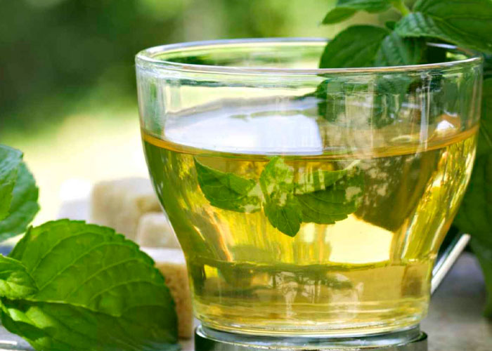 Aqui te contamos la importancia de tomar té verde todo los días 