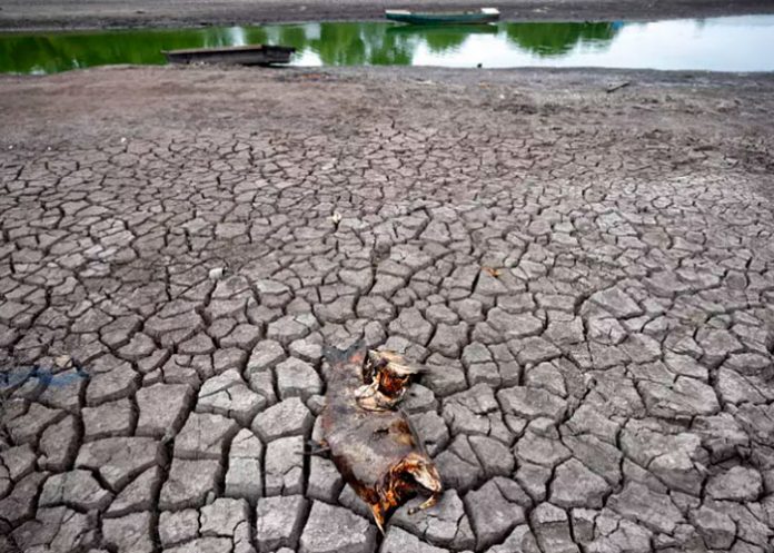 Media Europa se ve afectada por una sequía histórica