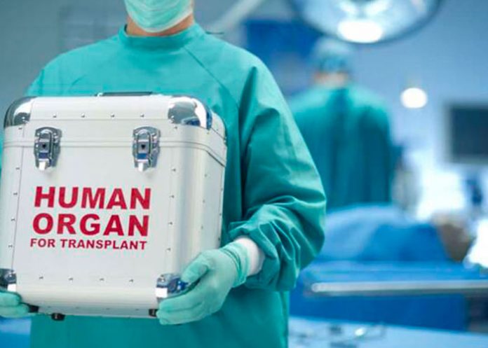 Puedes donar tus organos luego de morir ¿Qué necesita saber?