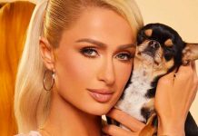 "Lujos de los ricos" Paris Hilton contrata detective para encontrar a su perra