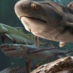 Gracias a unos fósiles de peces se "podrá aclarar la evolución del humano"