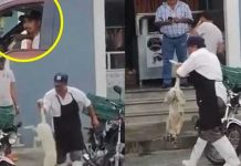 ¡VIDEO! Carnicero dispara a un perrito que había entrado a su local