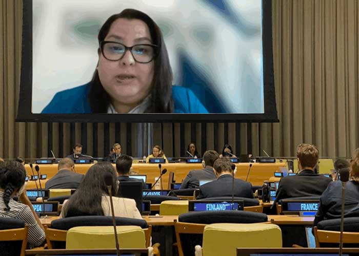 Nicaragua en tercer periodo de sesiones comité Ad Hoc en Naciones Unidas, Austria