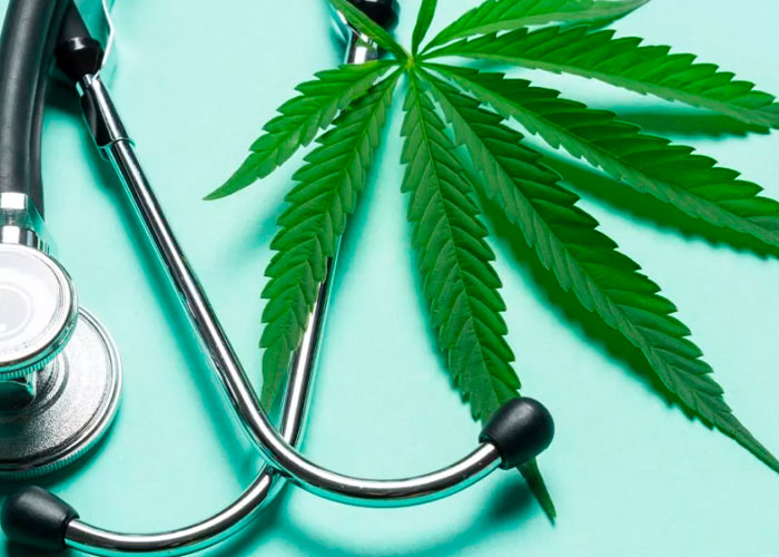 Aprueban en Panamá el uso de cannabis medicinal y terapéutico