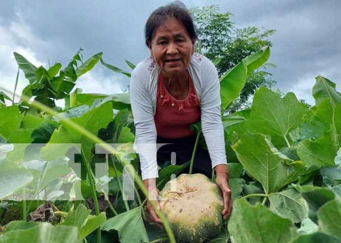 Productores implementan nuevas tecnologías agropecuarias en Totogalpa