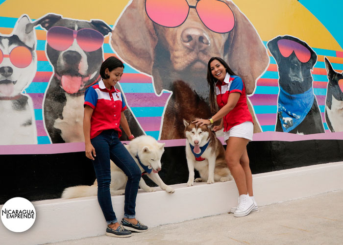 Dog House Nicolas´s, la peluquería canina cálida y amigable para todos