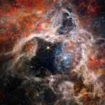 James Webb capta "tarántula cósmica gigante"