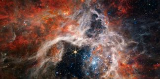 James Webb capta "tarántula cósmica gigante"