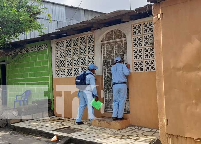 Guerra de zancudos es permanente en un barrio de Managua