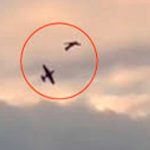 ¡Aterrador! En pleno vuelo dos avionetas chocaron en el cielo de Alemania