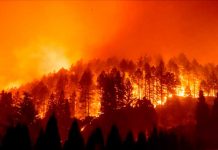 Incendios en California dejan cuatro muertos y miles de personas evacuadas