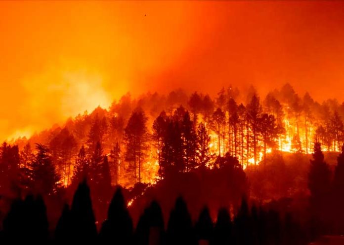 Incendios en California dejan cuatro muertos y miles de personas evacuadas