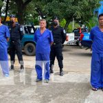 "Moncho", "Juancho" y Toño" listos para ser procesados en Chinandega