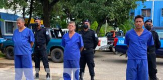 "Moncho", "Juancho" y Toño" listos para ser procesados en Chinandega