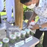 El INTA presentó un proyecto de envases biodegradables en Ometepe