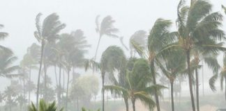Tormenta tropical Kay amenaza a más de 10 estados en México