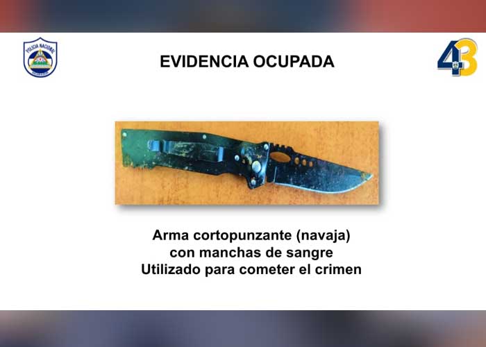 Presos en Granada por delito de homicidio