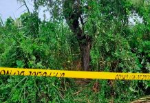 ¡Aberrante! Violan, matan y cuelgan de un árbol a dos hermanas en la India