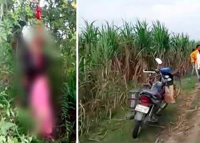 ¡Aberrante! Violan, matan y cuelgan de un árbol a dos hermanas en la India